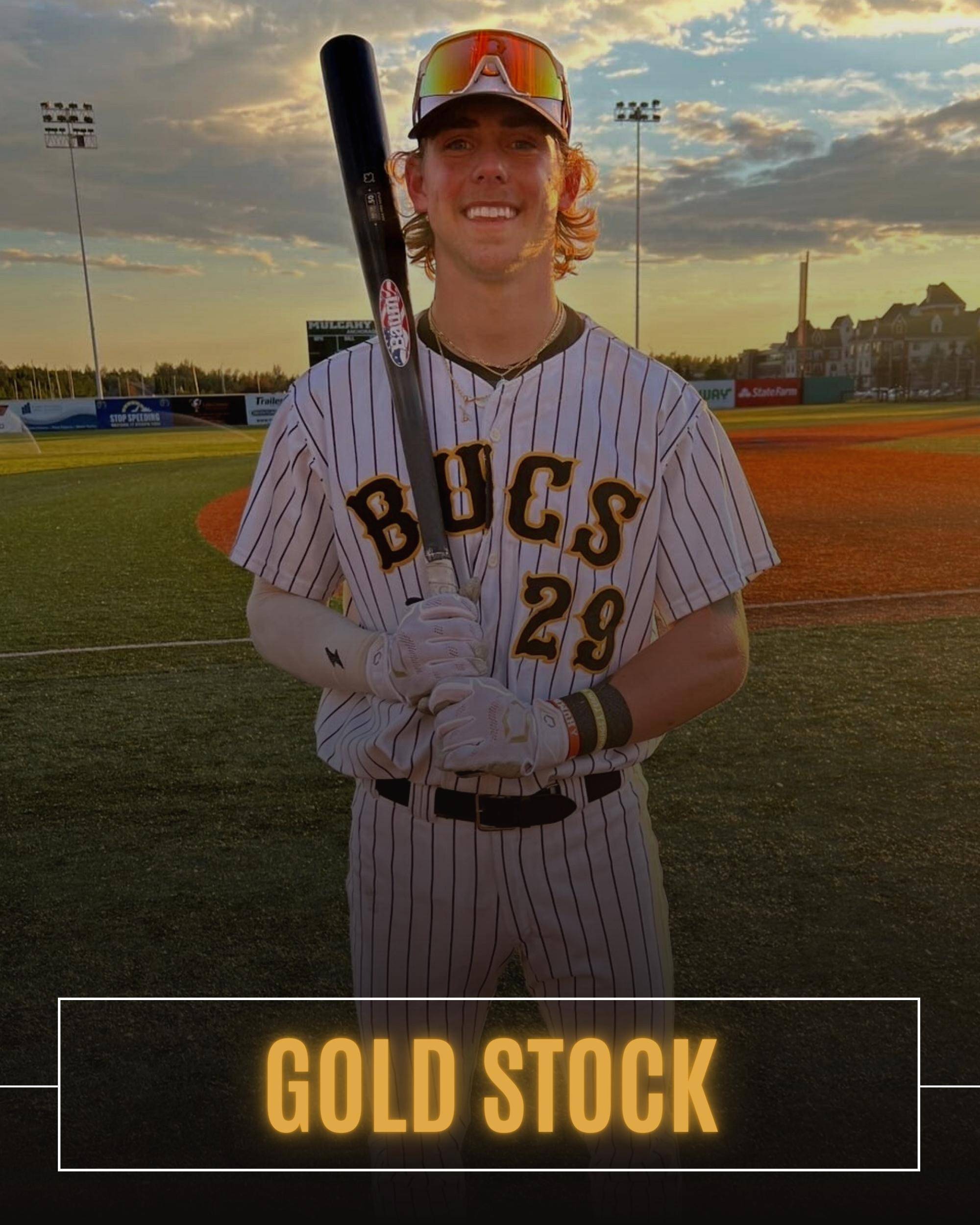 Baum Bat Training Bats Worlds Strongest Wood Bats